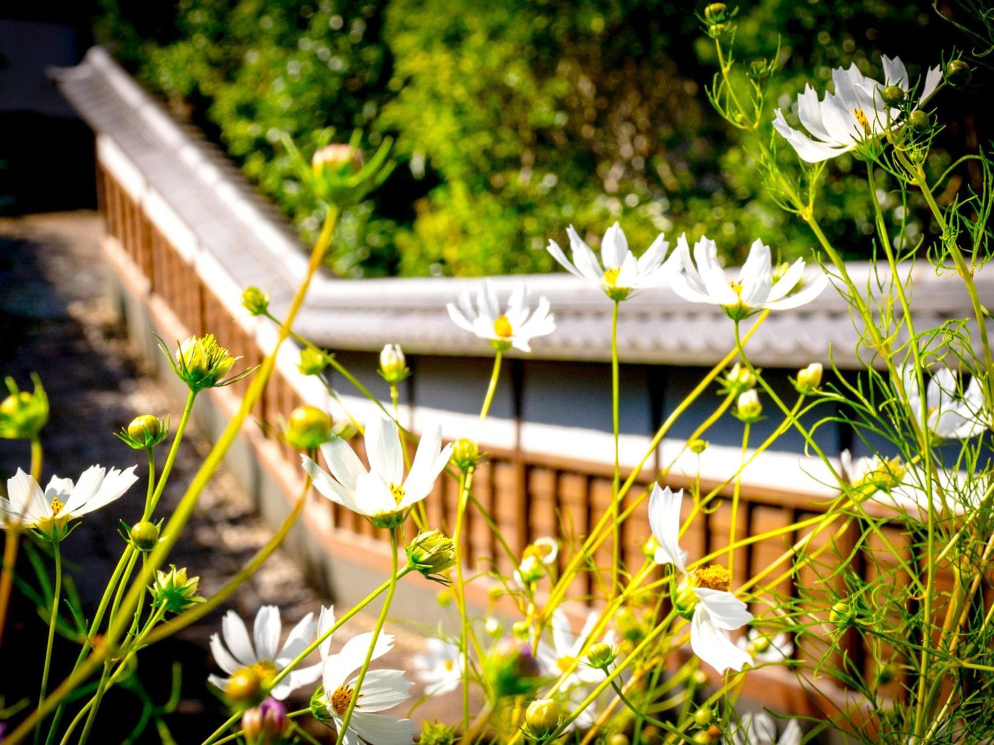 Hotel Kita-Kamakura 520 Extérieur photo